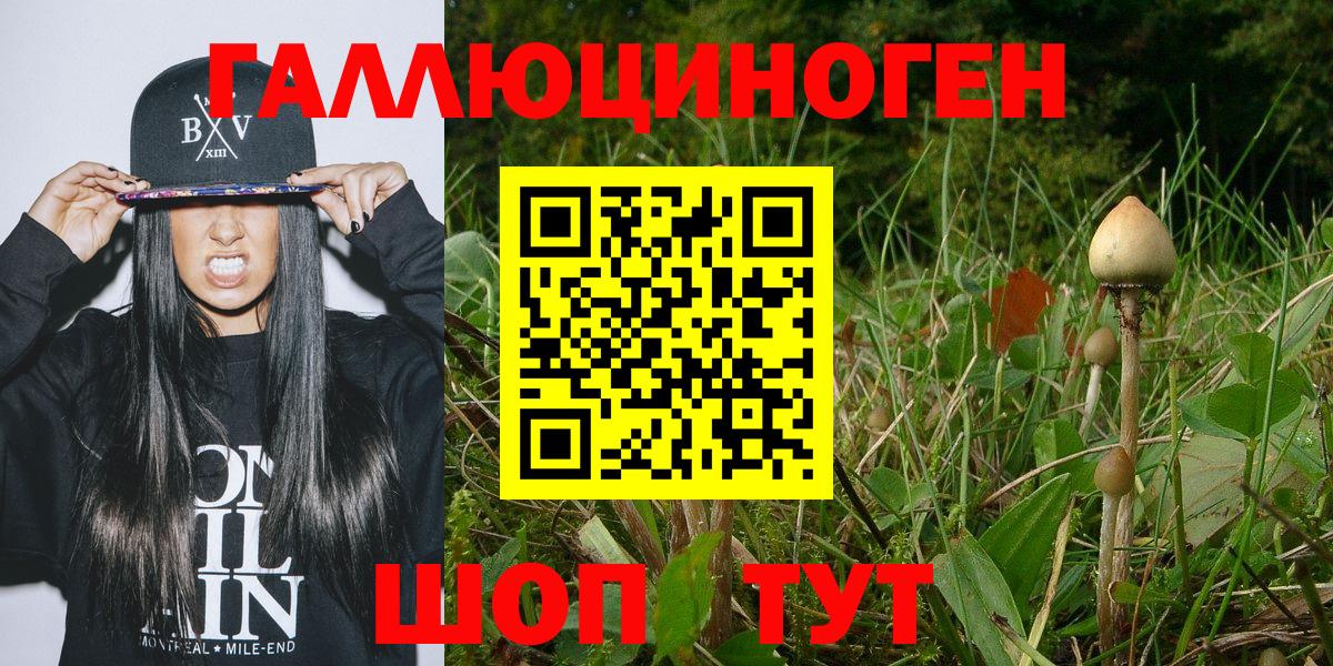 Галлюциногенные грибы Cubensis  где найти наркотики  Петропавловск-Камчатский  Вход с VPN  Галлюциногенные грибы Psilocybine cubensis 